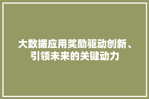 大数据应用奖励驱动创新、引领未来的关键动力