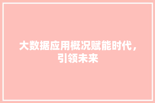 大数据应用概况赋能时代，引领未来