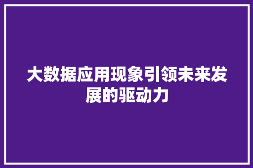 大数据应用现象引领未来发展的驱动力  第1张
