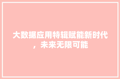 大数据应用特辑赋能新时代，未来无限可能