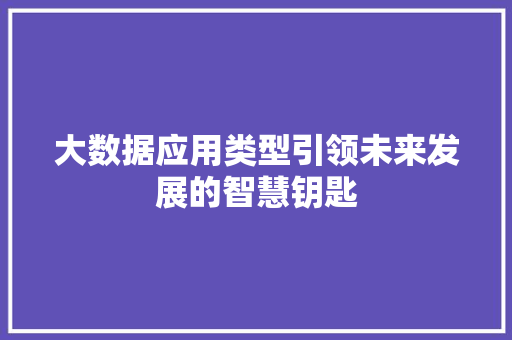 大数据应用类型引领未来发展的智慧钥匙