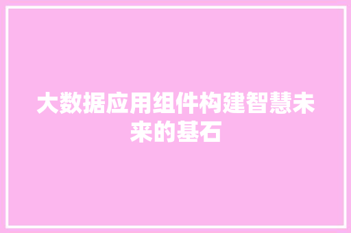 大数据应用组件构建智慧未来的基石