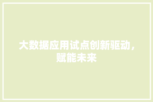 大数据应用试点创新驱动，赋能未来