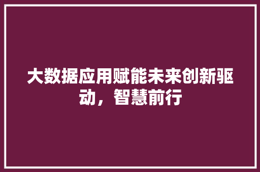 大数据应用赋能未来创新驱动，智慧前行