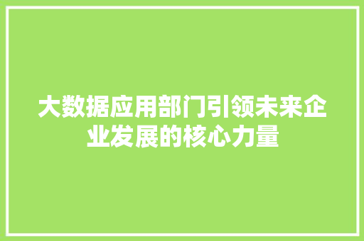 大数据应用部门引领未来企业发展的核心力量