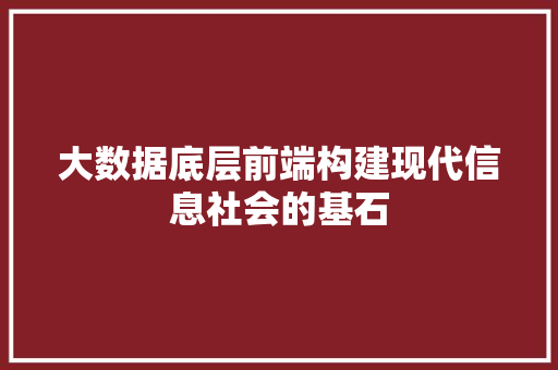 大数据底层前端构建现代信息社会的基石