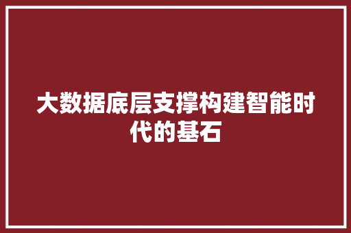大数据底层支撑构建智能时代的基石