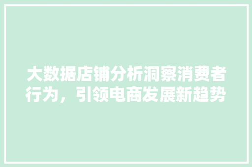 大数据店铺分析洞察消费者行为，引领电商发展新趋势