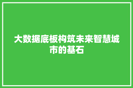 大数据底板构筑未来智慧城市的基石