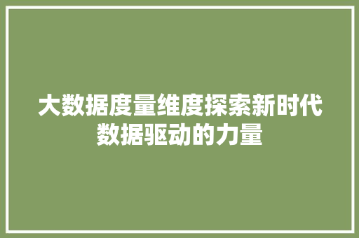 大数据度量维度探索新时代数据驱动的力量