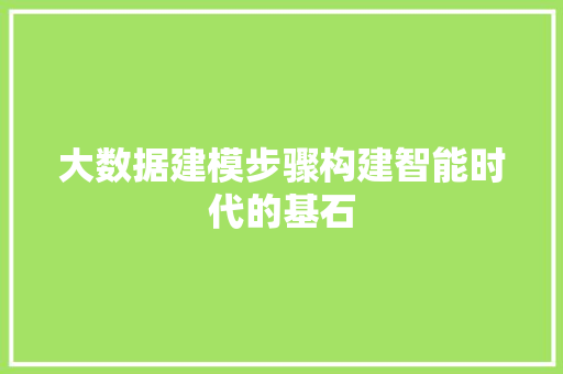 大数据建模步骤构建智能时代的基石