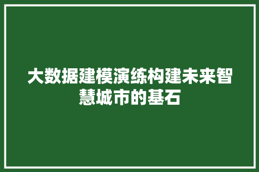 大数据建模演练构建未来智慧城市的基石