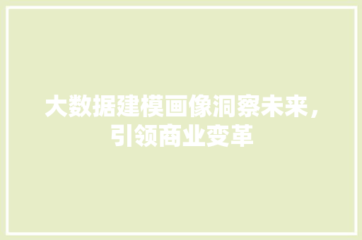 大数据建模画像洞察未来，引领商业变革