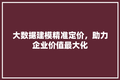 大数据建模精准定价，助力企业价值最大化  第1张