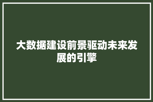 大数据建设前景驱动未来发展的引擎