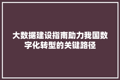 大数据建设指南助力我国数字化转型的关键路径  第1张