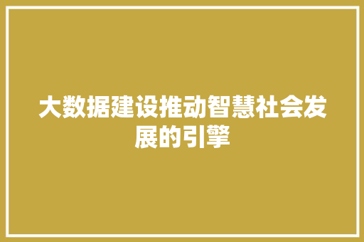 大数据建设推动智慧社会发展的引擎