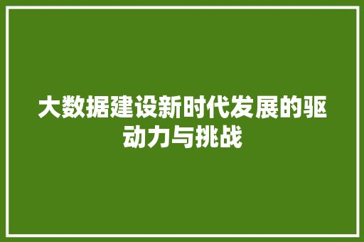 大数据建设新时代发展的驱动力与挑战  第1张