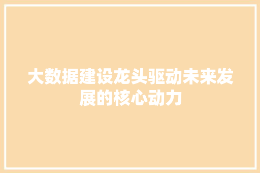 大数据建设龙头驱动未来发展的核心动力