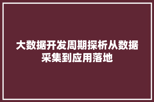 大数据开发周期探析从数据采集到应用落地  第1张