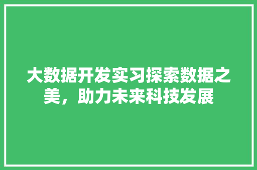 大数据开发实习探索数据之美，助力未来科技发展  第1张