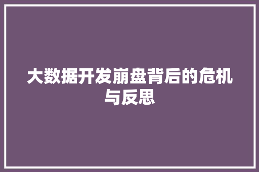 大数据开发崩盘背后的危机与反思  第1张