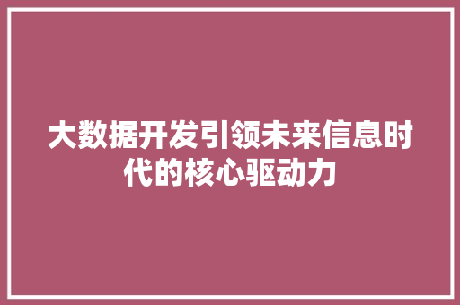 大数据开发引领未来信息时代的核心驱动力  第1张