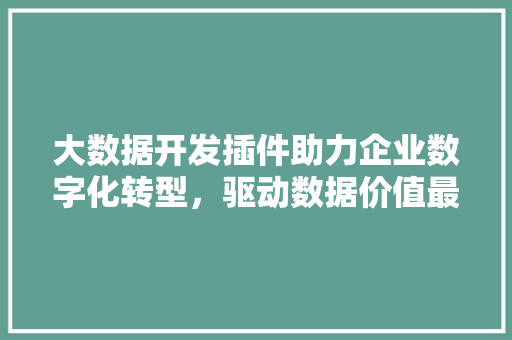 大数据开发插件助力企业数字化转型，驱动数据价值最大化  第1张