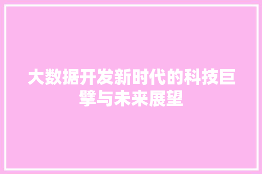 大数据开发新时代的科技巨擘与未来展望