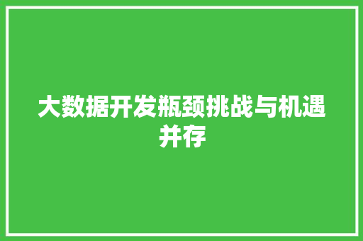 大数据开发瓶颈挑战与机遇并存  第1张