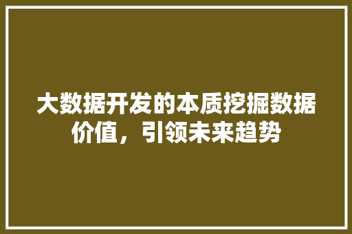 大数据开发的本质挖掘数据价值，引领未来趋势  第1张