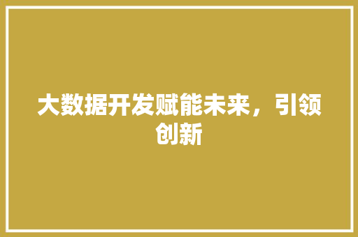 大数据开发赋能未来，引领创新