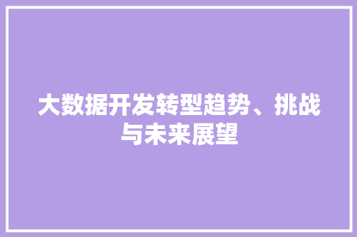 大数据开发转型趋势、挑战与未来展望
