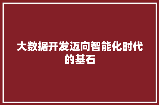 大数据开发迈向智能化时代的基石