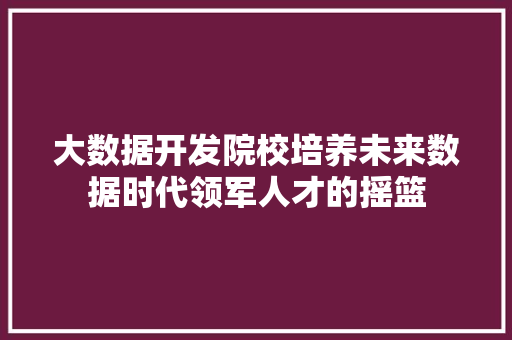 大数据开发院校培养未来数据时代领军人才的摇篮