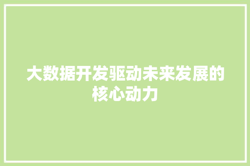 大数据开发驱动未来发展的核心动力  第1张