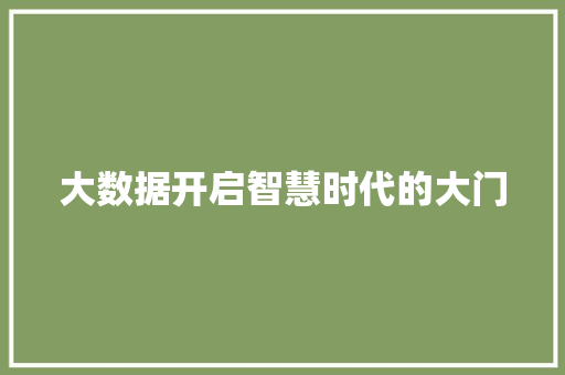 大数据开启智慧时代的大门  第1张