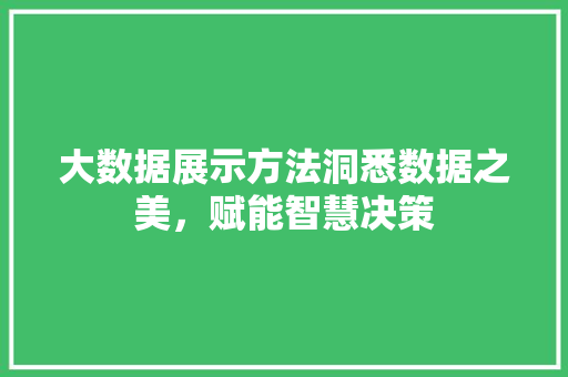 大数据展示方法洞悉数据之美，赋能智慧决策  第1张