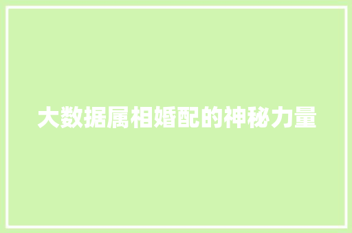 大数据属相婚配的神秘力量