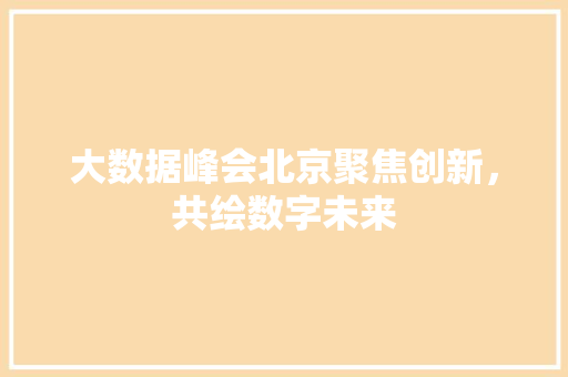大数据峰会北京聚焦创新，共绘数字未来  第1张