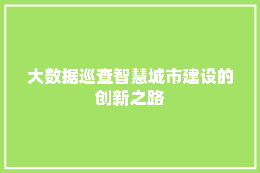 大数据巡查智慧城市建设的创新之路