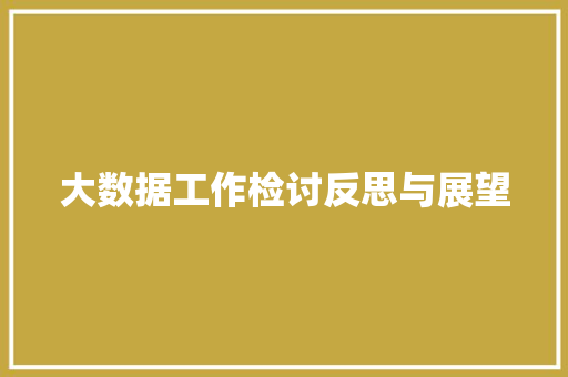 大数据工作检讨反思与展望