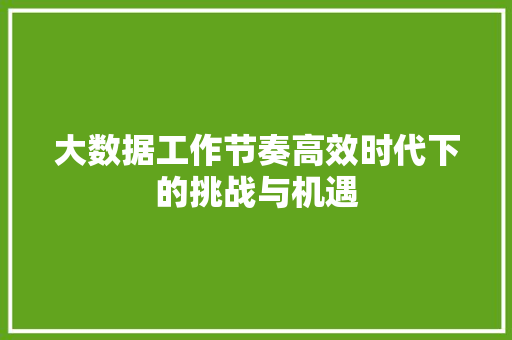 大数据工作节奏高效时代下的挑战与机遇