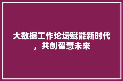 大数据工作论坛赋能新时代，共创智慧未来