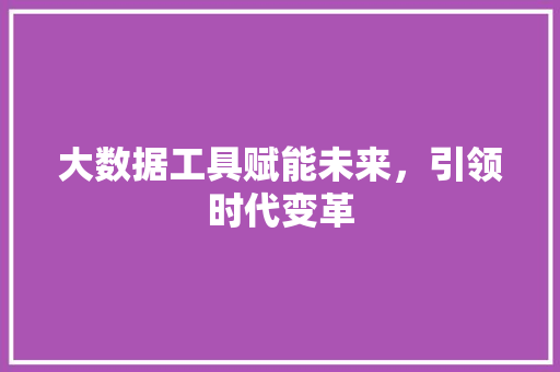 大数据工具赋能未来，引领时代变革
