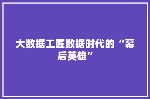 大数据工匠数据时代的“幕后英雄”
