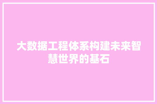 大数据工程体系构建未来智慧世界的基石  第1张