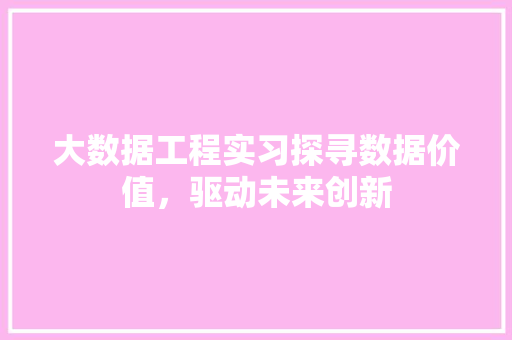 大数据工程实习探寻数据价值，驱动未来创新