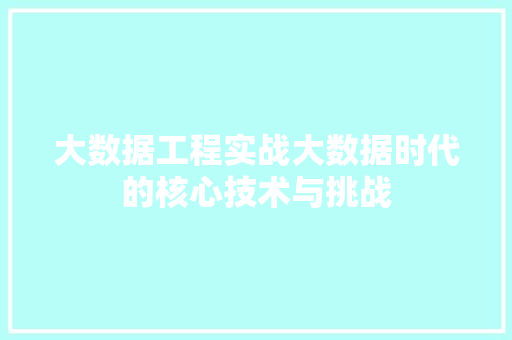 大数据工程实战大数据时代的核心技术与挑战