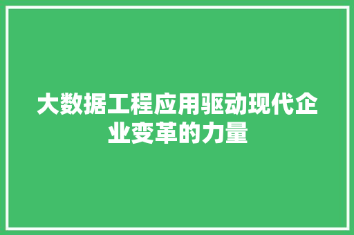 大数据工程应用驱动现代企业变革的力量  第1张